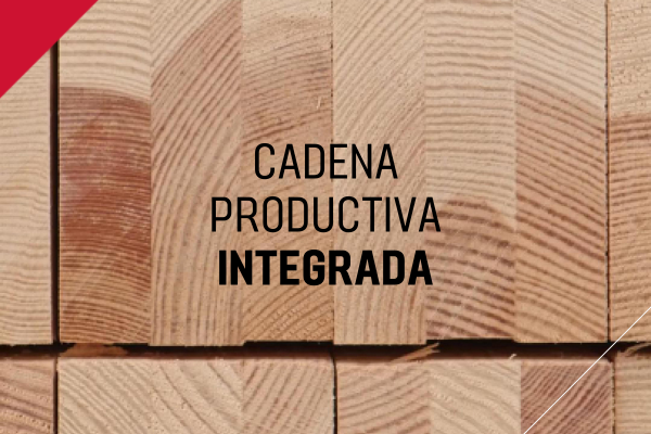 Proceso Productivo Integrado: Calidad en Cada Fase