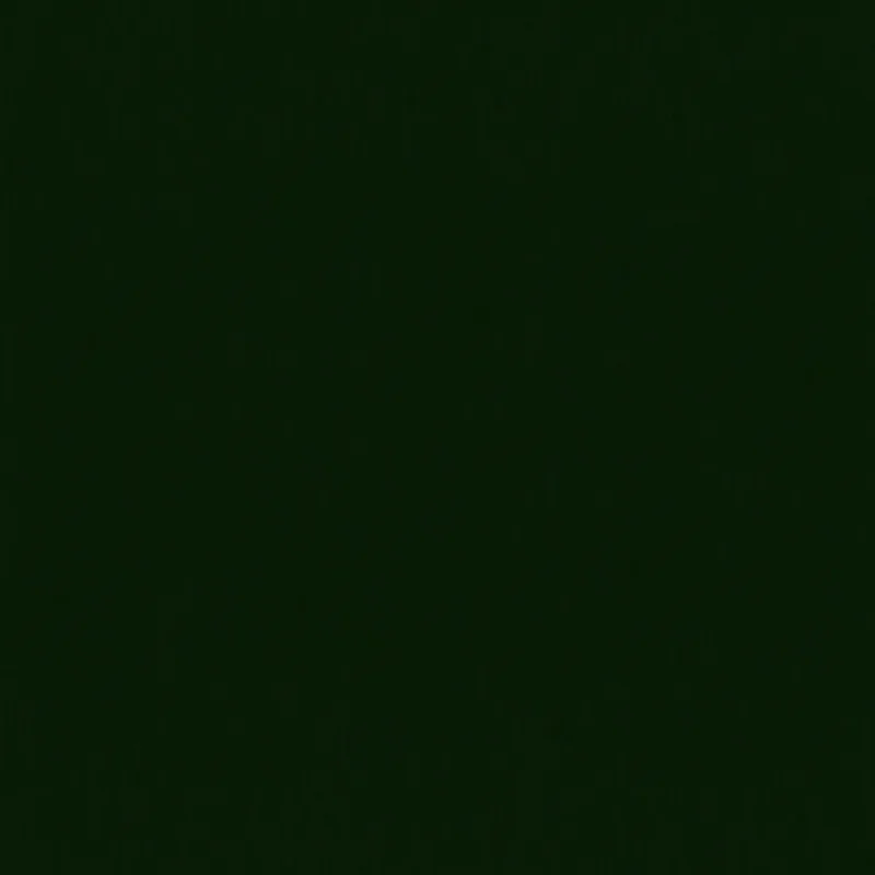 9773 NO STD VERDE