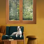 Complanare Ventana Perro