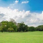 ventana futura paisaje